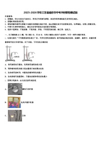 2025-2026学年江苏省南京市中考冲刺卷物理试题（含答案解析）