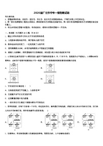 2026届广元市中考一模物理试题（含答案解析）