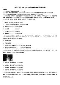 黑龙江省七台河市2026年中考物理最后一模试卷（含答案解析）