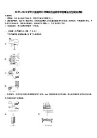 2025-2026学年云南省怒江傈僳族自治州中考物理适应性模拟试题（含答案解析）