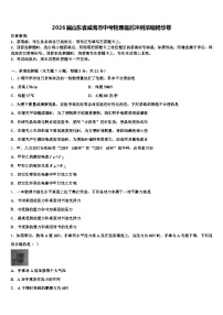 2026届山东省威海市中考物理最后冲刺浓缩精华卷（含答案解析）