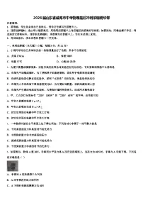 2026届山东省威海市中考物理最后冲刺浓缩精华卷（含答案解析）