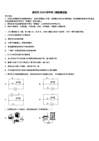漯河市2026年中考二模物理试题（含答案解析）