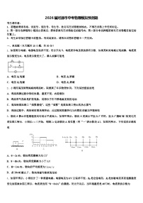 2026届河源市中考物理模拟预测题（含答案解析）