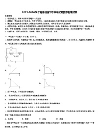 2025-2026学年青海省西宁市中考试题猜想物理试卷（含答案解析）