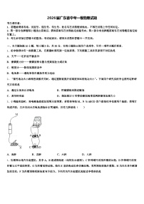2026届广东省中考一模物理试题（含答案解析）