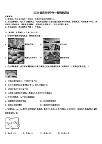 2026届宜宾市中考一模物理试题（含答案解析）