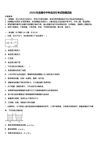 2026年宜昌市中考适应性考试物理试题（含答案解析）