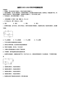 益阳市2025-2026学年中考物理模试卷（含答案解析）