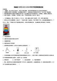 海南省三沙市2025-2026学年中考四模物理试题（含答案解析）