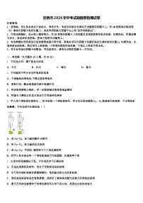 定西市2026年中考试题猜想物理试卷（含答案解析）