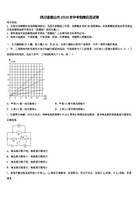 四川省眉山市2026年中考物理仿真试卷（含答案解析）