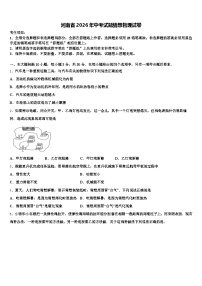 河南省2026年中考试题猜想物理试卷（含答案解析）