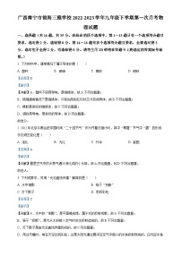 广西南宁市银海三雅学校九年级下学期第一次月考物理试题（解析版）-A4