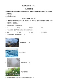 广西南宁天桃教育集团九年级下学期3月月考物理试题（原卷版）-A4