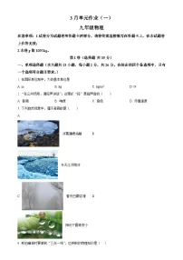 广西南宁天桃教育集团九年级下学期3月月考物理试题（原卷版）-A4
