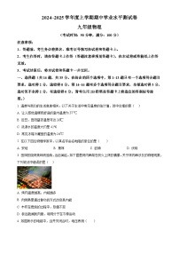 广西壮族自治区百色市田阳区九年级上学期11月期中物理试题（原卷版）-A4