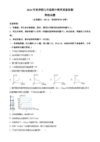 广西壮族自治区贵港市平南县九年级上学期11月期中物理试题（原卷版）-A4
