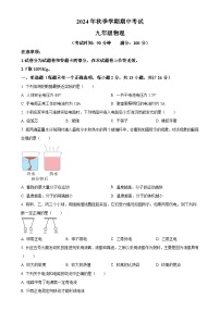 广西壮族自治区钦州市共美学校2024-2025学年九年级上学期11月期中物理试题（原卷版）-A4