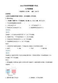 广西壮族自治区钦州市共美学校九年级上学期11月期中物理试题（解析版）-A4
