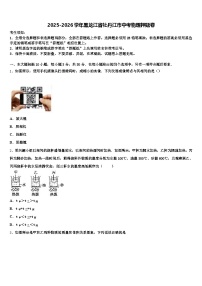 2025-2026学年黑龙江省牡丹江市中考物理押题卷（含答案解析）