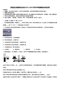 青海省玉树藏族自治州2025-2026学年中考物理模拟预测试卷（含答案解析）