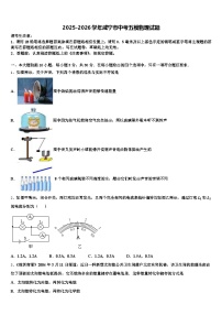 2025-2026学年咸宁市中考五模物理试题（含答案解析）
