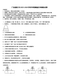 广东省阳江市2025-2026学年中考物理最后冲刺模拟试卷（含答案解析）