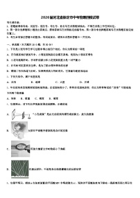 2026届河北省保定市中考物理四模试卷（含答案解析）