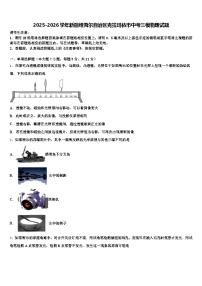 2025-2026学年新疆维吾尔自治区克拉玛依市中考三模物理试题（含答案解析）