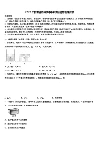 2026年甘肃省嘉峪关市中考试题猜想物理试卷（含答案解析）