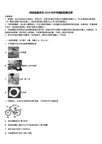 陕西省商洛市2026年中考猜题物理试卷（含答案解析）