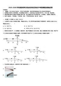 2025-2026学年新疆维吾尔自治区阿克苏地区中考物理模拟精编试卷（含答案解析）