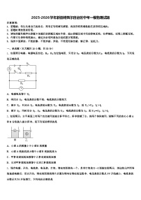 2025-2026学年新疆维吾尔自治区中考一模物理试题（含答案解析）