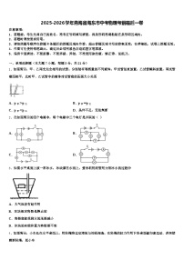 2025-2026学年青海省海东市中考物理考前最后一卷（含答案解析）