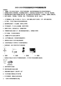2025-2026学年安徽省淮北市中考物理四模试卷（含答案解析）