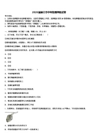2026届丽江市中考物理押题试卷（含答案解析）