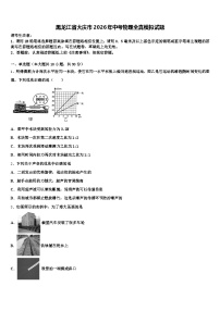 黑龙江省大庆市2026年中考物理全真模拟试题（含答案解析）