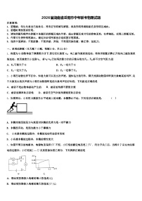 2026届湖南省岳阳市中考联考物理试题（含答案解析）