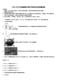 2025-2026学年福建省宁德市中考适应性考试物理试题（含答案解析）