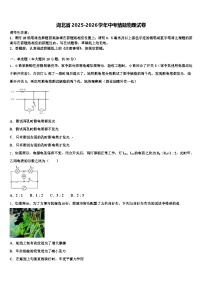湖北省2025-2026学年中考猜题物理试卷（含答案解析）
