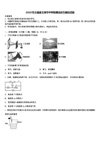 2026年云南省玉溪市中考物理适应性模拟试题（含答案解析）