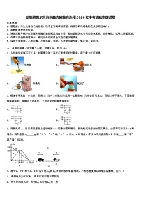 新疆维吾尔自治区昌吉回族自治州2026年中考猜题物理试卷（含答案解析）