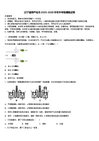 辽宁省葫芦岛市2025-2026学年中考物理模试卷（含答案解析）