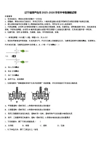 辽宁省葫芦岛市2025-2026学年中考物理模试卷（含答案解析）