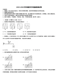2025-2026学年铜陵市中考猜题物理试卷（含答案解析）