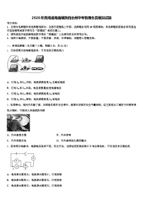 2026年青海省海南藏族自治州中考物理全真模拟试题（含答案解析）