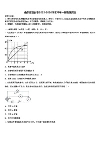山东省烟台市2025-2026学年中考一模物理试题（含答案解析）