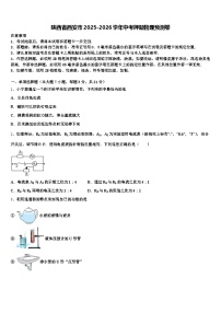 陕西省西安市2025-2026学年中考押题物理预测卷（含答案解析）