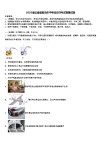 2026届云南省临沧市中考适应性考试物理试题（含答案解析）